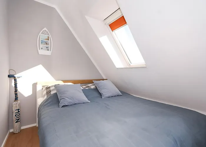 Kleiner Seestern Lenste